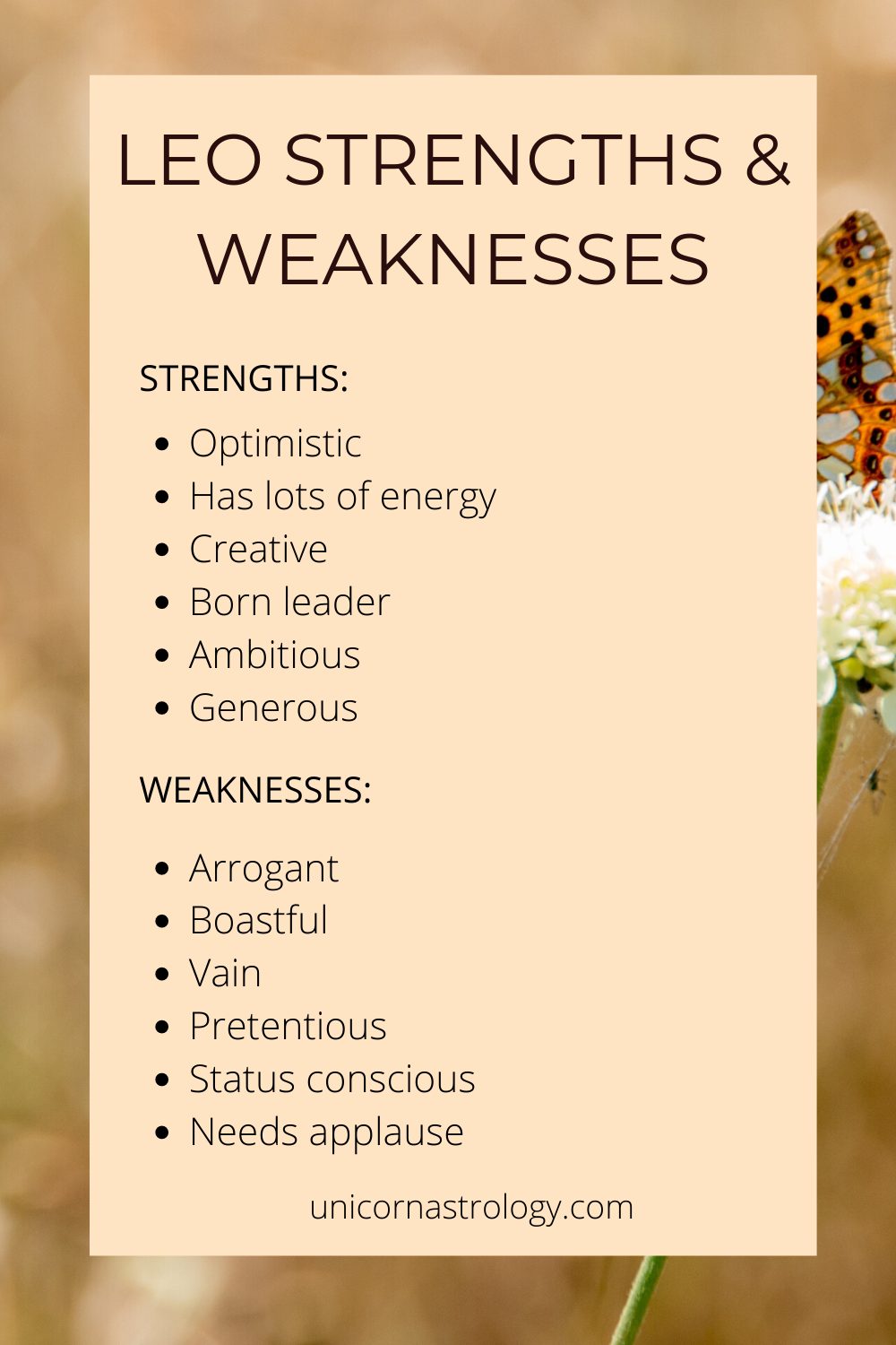 Weaknesses