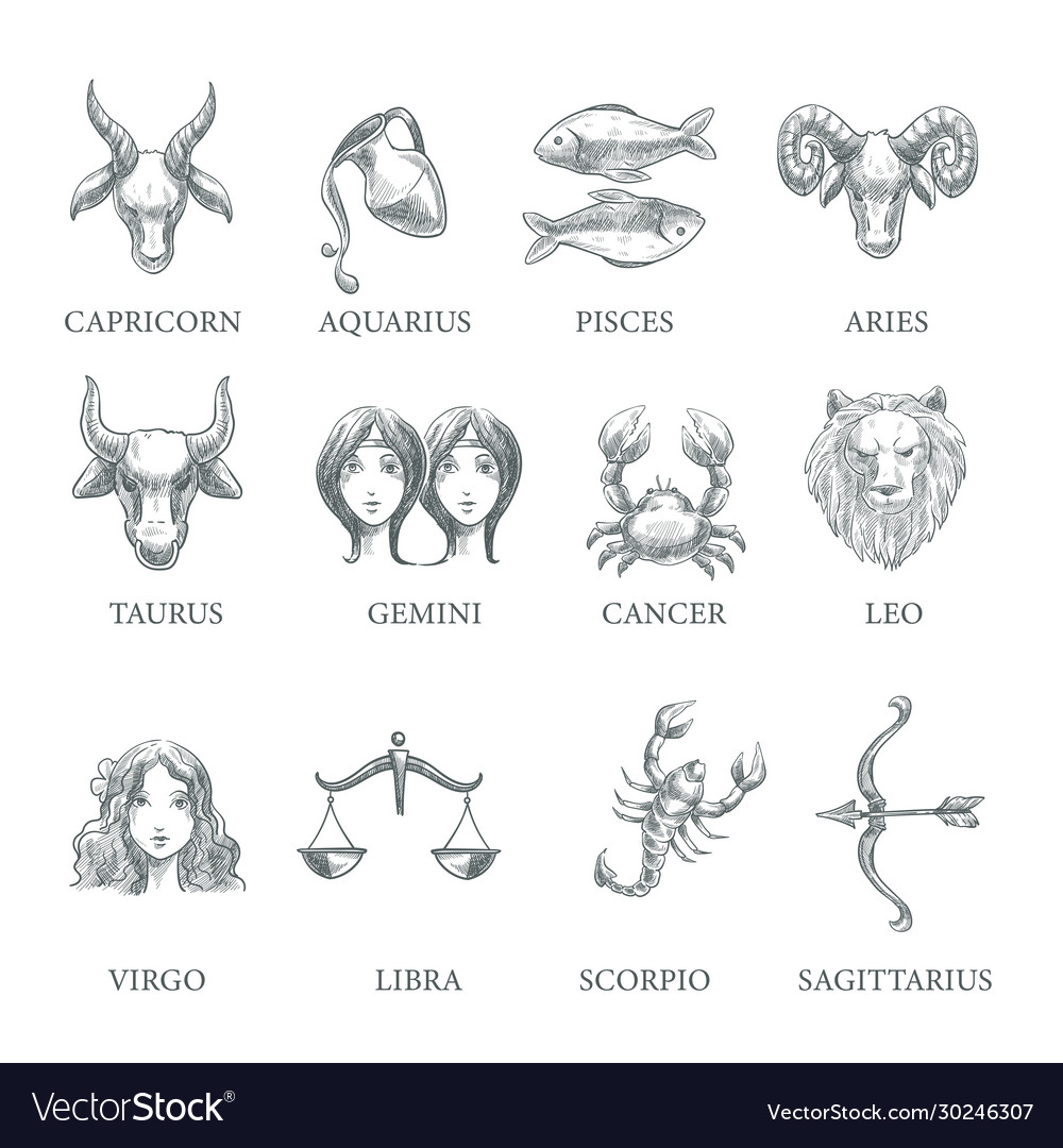 Zodiac Signs And Symbols